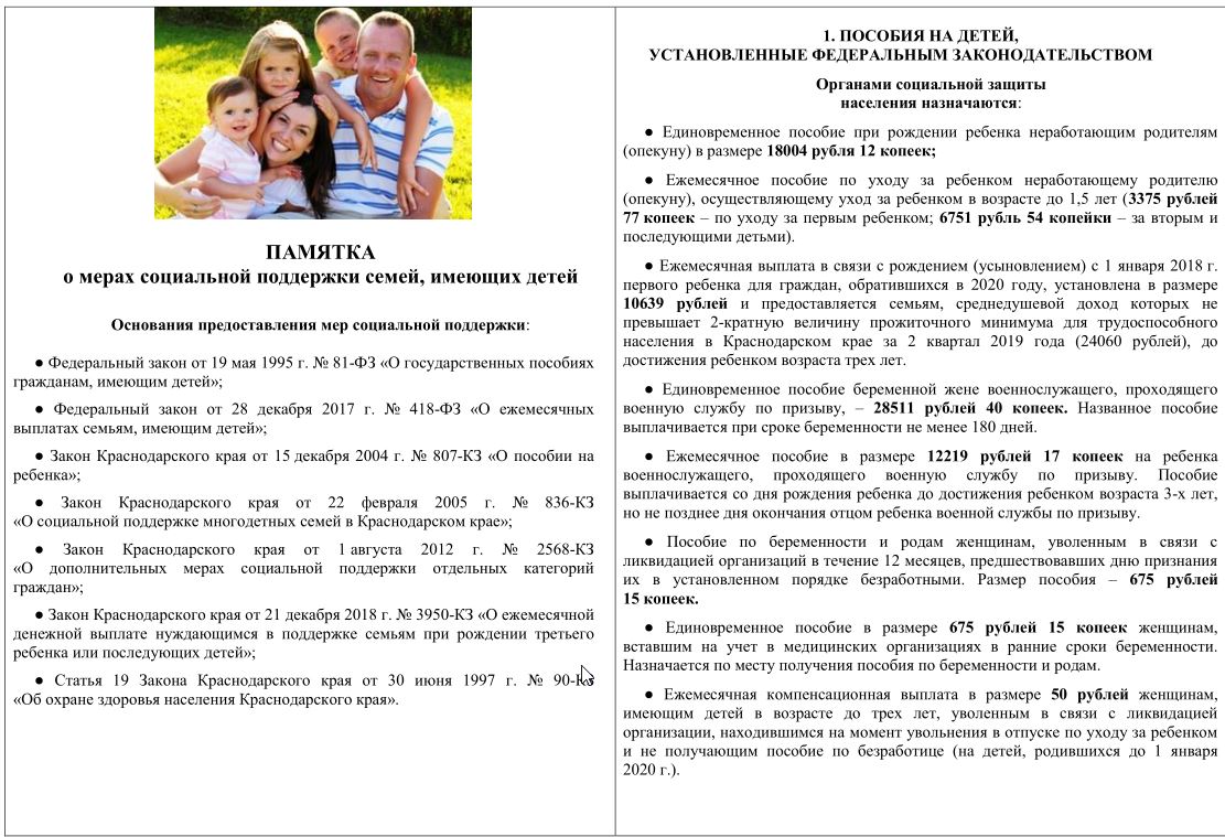 2020-02-07 10_04_02-Памятка о мерах соцподдержки семей с детьми-1.pdf - SumatraPDF